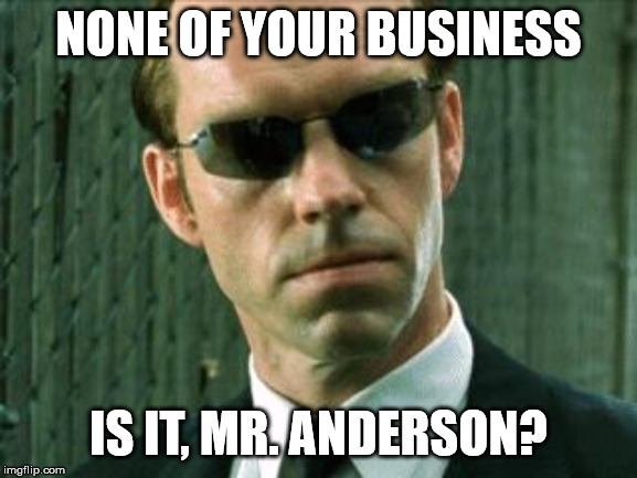 Agent Smith Matrix | NONE OF YOUR BUSINESS IS IT, MR. ANDERSON? | image tagged in agent smith matrix | made w/ Imgflip meme maker