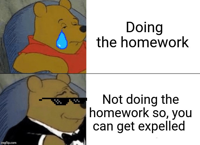 Tuxedo Winnie The Pooh Meme | Doing the homework; Not doing the homework so, you can get expelled | image tagged in memes,tuxedo winnie the pooh | made w/ Imgflip meme maker