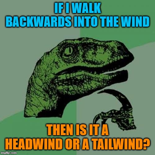 Heading into a tailwind? | IF I WALK BACKWARDS INTO THE WIND; THEN IS IT A HEADWIND OR A TAILWIND? | image tagged in memes,philosoraptor,food for thought,bad puns,dank memes,funny | made w/ Imgflip meme maker