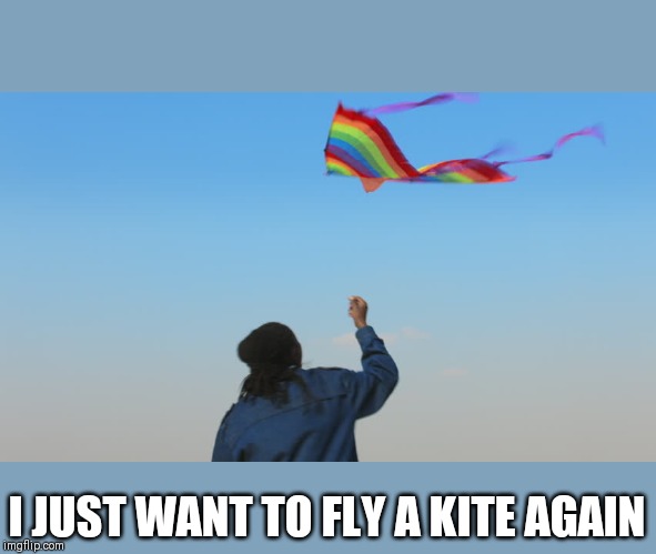 giant kite | I JUST WANT TO FLY A KITE AGAIN | image tagged in giant kite | made w/ Imgflip meme maker
