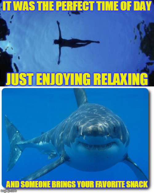 I love those moments | IT WAS THE PERFECT TIME OF DAY; JUST ENJOYING RELAXING; AND SOMEONE BRINGS YOUR FAVORITE SNACK | image tagged in shark humor,just a joke | made w/ Imgflip meme maker