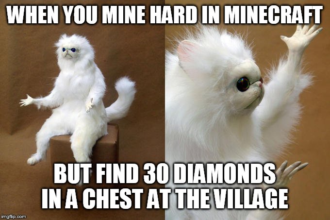 Persian Cat Room Guardian | WHEN YOU MINE HARD IN MINECRAFT; BUT FIND 30 DIAMONDS IN A CHEST AT THE VILLAGE | image tagged in memes,persian cat room guardian | made w/ Imgflip meme maker