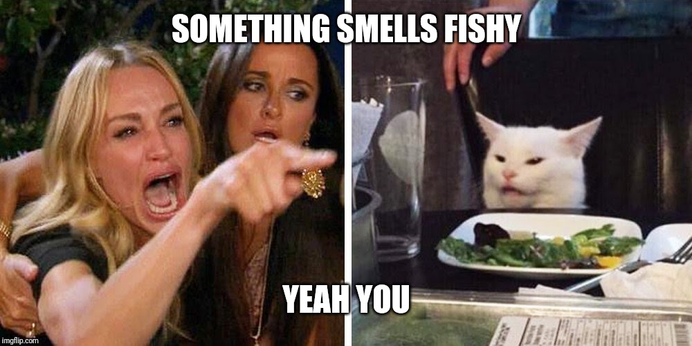 Smudge the cat | SOMETHING SMELLS FISHY; YEAH YOU | image tagged in smudge the cat | made w/ Imgflip meme maker