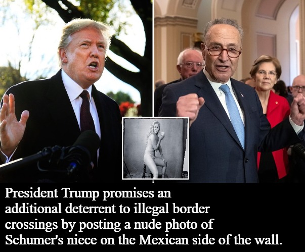 Trump Promises Additional Border Security Measures | President Trump promises an additional deterrent to illegal border crossings by posting a nude photo of Schumer's niece on the Mexican side of the wall. | image tagged in amy schumer,chuck schumer crying,trumps wall,triggered liberal,maga,secure the border | made w/ Imgflip meme maker