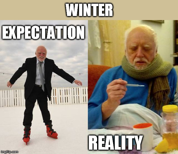 Winter is here | WINTER; EXPECTATION; REALITY | image tagged in winter,winter is here,expectation vs reality,hide the pain harold | made w/ Imgflip meme maker