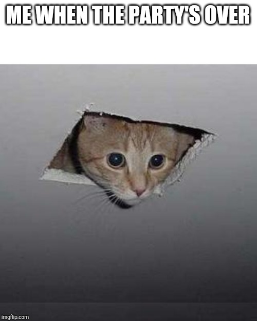 Ceiling Cat | ME WHEN THE PARTY'S OVER | image tagged in memes,ceiling cat | made w/ Imgflip meme maker