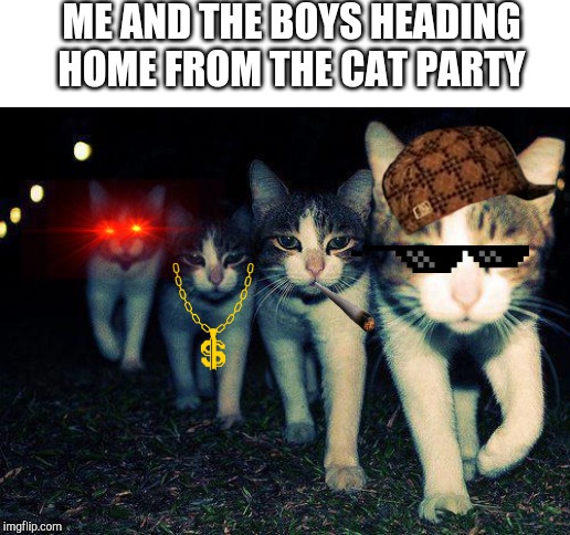 Wrong Neighboorhood Cats Meme | ME AND THE BOYS HEADING HOME FROM THE CAT PARTY | image tagged in memes,wrong neighboorhood cats | made w/ Imgflip meme maker