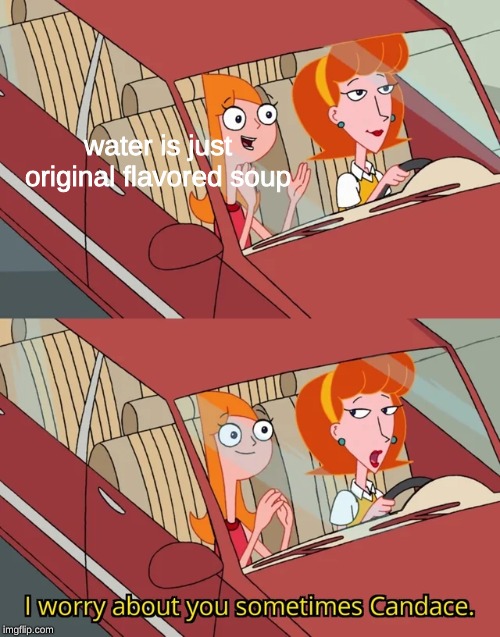 I worry about you sometimes Candace | water is just original flavored soup | image tagged in i worry about you sometimes candace,memes,soup,water,phineas and ferb | made w/ Imgflip meme maker