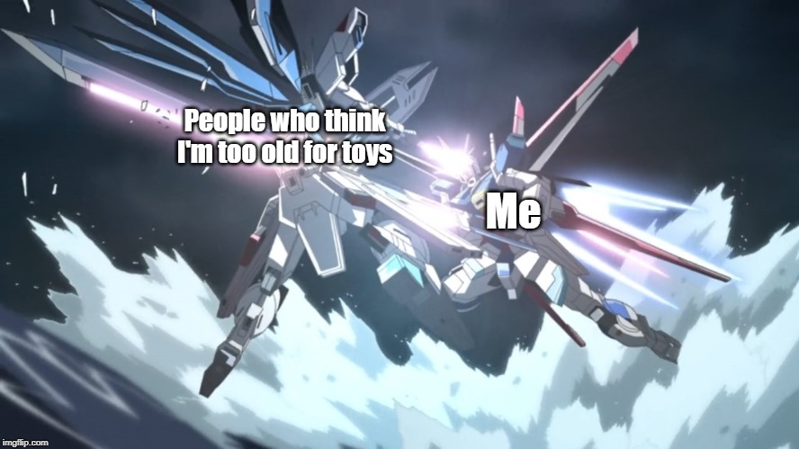 The End of Freedom | People who think I'm too old for toys; Me | image tagged in the end of freedom | made w/ Imgflip meme maker