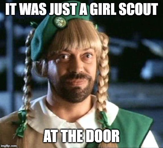 girl scout scam | IT WAS JUST A GIRL SCOUT AT THE DOOR | image tagged in girl scout scam | made w/ Imgflip meme maker