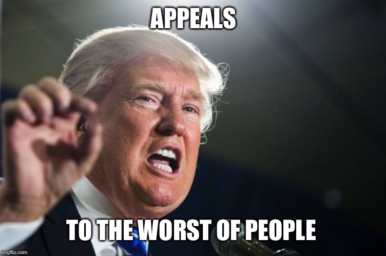 donald trump | APPEALS; TO THE WORST OF PEOPLE | image tagged in donald trump | made w/ Imgflip meme maker