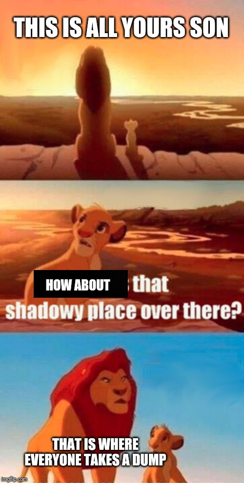 Simba Shadowy Place Meme - Imgflip