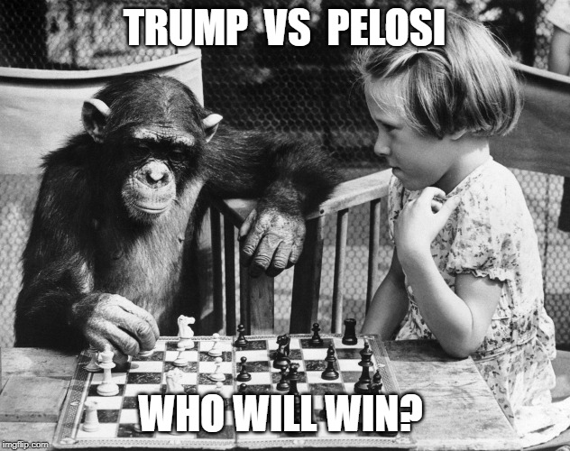 Chess  Chimp  Girl | TRUMP  VS  PELOSI; WHO WILL WIN? | image tagged in chess chimp girl | made w/ Imgflip meme maker