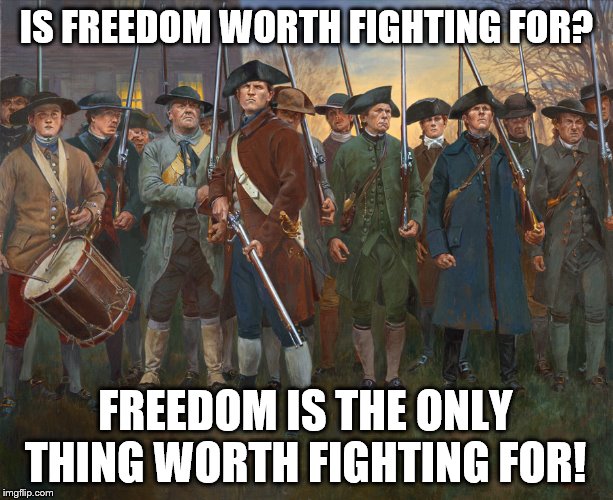 revolutionary militia | IS FREEDOM WORTH FIGHTING FOR? FREEDOM IS THE ONLY THING WORTH FIGHTING FOR! | image tagged in revolutionary militia,memes,politics | made w/ Imgflip meme maker