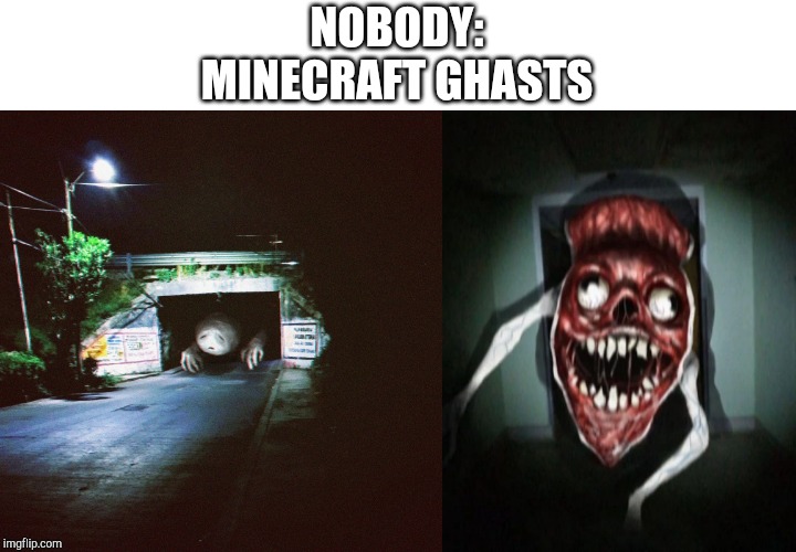 NOBODY:

MINECRAFT GHASTS | image tagged in angry bridge worm,scared bridge worm | made w/ Imgflip meme maker