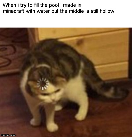 Loading cat | When i try to fill the pool i made in minecraft with water but the middle is still hollow | image tagged in loading cat | made w/ Imgflip meme maker