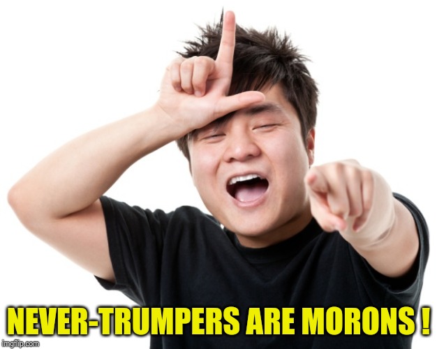 You're a loser | NEVER-TRUMPERS ARE MORONS ! | image tagged in you're a loser | made w/ Imgflip meme maker