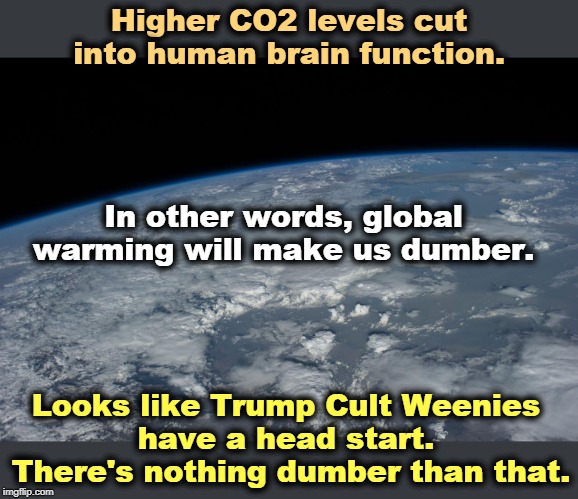 An explanation of climate change deniers. Where are they coming from? Let us not forget that Trump Cultists are still Weenies. | Higher CO2 levels cut into human brain function. In other words, global warming will make us dumber. Looks like Trump Cult Weenies 
have a head start. 

There's nothing dumber than that. | image tagged in global warming,climate change,idiots,dumb,stupid,moron | made w/ Imgflip meme maker