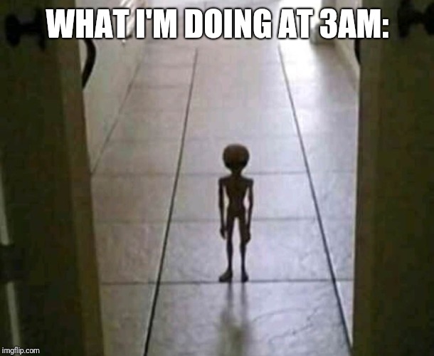 My alien at 3am | WHAT I'M DOING AT 3AM: | image tagged in my alien at 3am | made w/ Imgflip meme maker