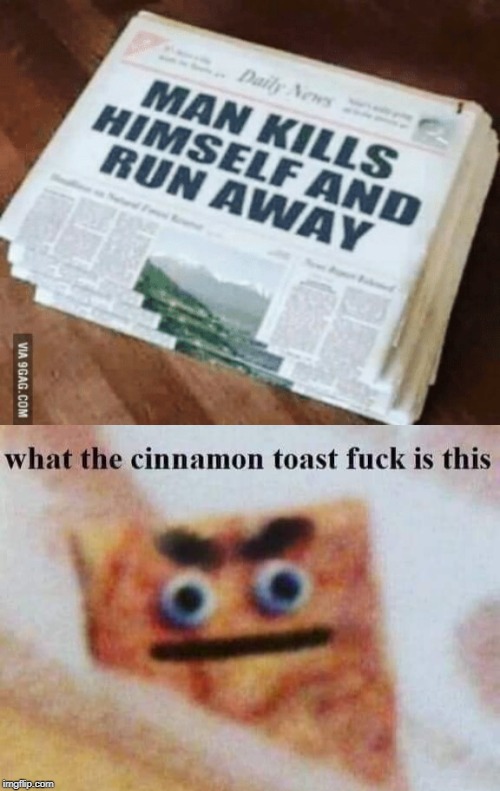 image tagged in what the cinnamon toast f is this | made w/ Imgflip meme maker