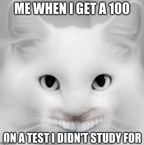 Teeth Cat | ME WHEN I GET A 100; ON A TEST I DIDN'T STUDY FOR | image tagged in teeth cat | made w/ Imgflip meme maker