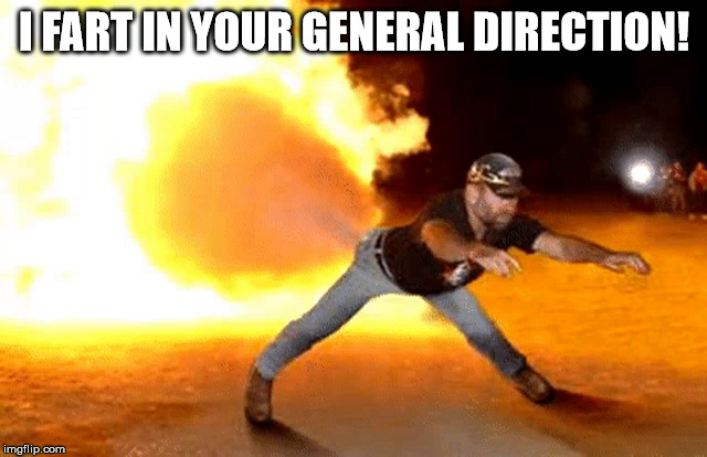 Fart fire! | I FART IN YOUR GENERAL DIRECTION! | image tagged in fart fire | made w/ Imgflip meme maker