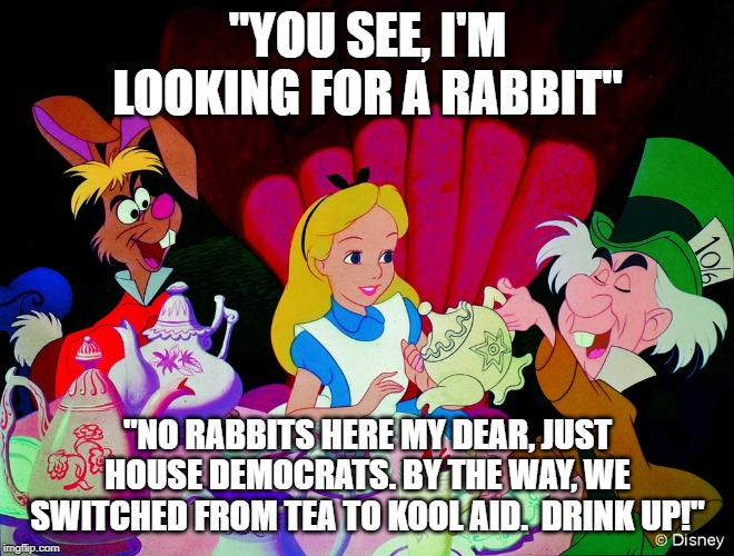Alice in wonderland | "YOU SEE, I'M LOOKING FOR A RABBIT"; "NO RABBITS HERE MY DEAR, JUST HOUSE DEMOCRATS. BY THE WAY, WE SWITCHED FROM TEA TO KOOL AID.  DRINK UP!" | image tagged in alice in wonderland | made w/ Imgflip meme maker