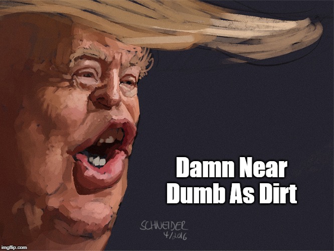 "Damn Near Dumb As Dirt" | Damn Near Dumb As Dirt | image tagged in dumb as dirt,reckless endangerment in trumps treatment of iraq,trump | made w/ Imgflip meme maker