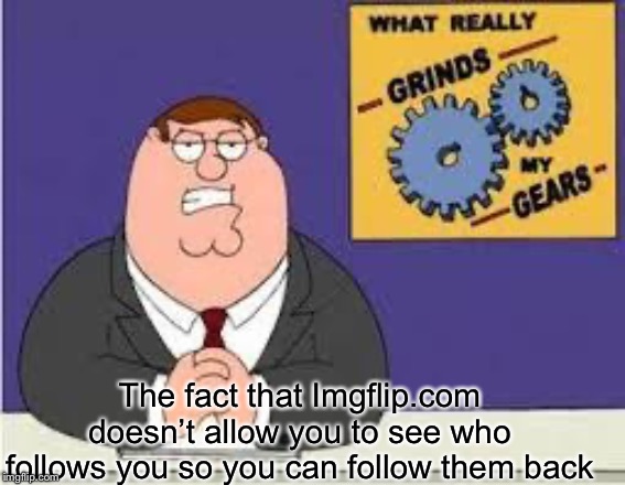 You know what really grinds my gears | The fact that Imgflip.com doesn’t allow you to see who follows you so you can follow them back | image tagged in you know what really grinds my gears | made w/ Imgflip meme maker