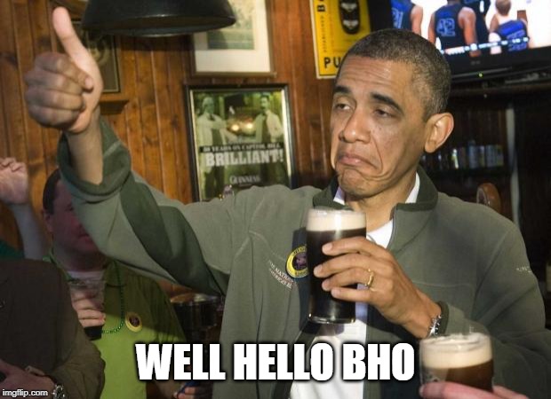 Obama beer | WELL HELLO BHO | image tagged in obama beer | made w/ Imgflip meme maker