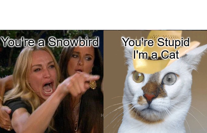 Woman Yelling At Cat Meme | You're a Snowbird; You're Stupid
I'm a Cat | image tagged in memes,woman yelling at cat | made w/ Imgflip meme maker