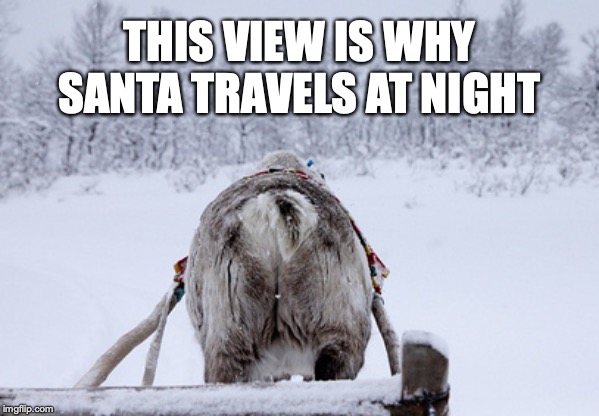 reindeer butt | THIS VIEW IS WHY SANTA TRAVELS AT NIGHT | image tagged in christmas | made w/ Imgflip meme maker