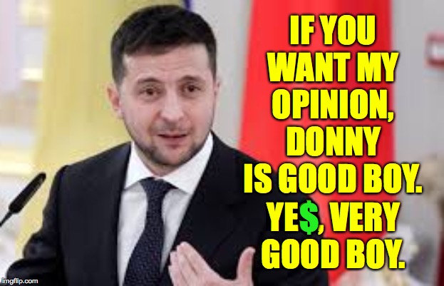When all your character witnesses are not from around here  ( : | IF YOU WANT MY OPINION, DONNY IS GOOD BOY. YE$, VERY GOOD BOY. $ | image tagged in memes,zelensky,trump impeachment | made w/ Imgflip meme maker