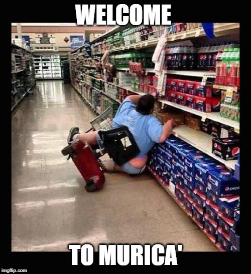Murica Scooter | WELCOME; TO MURICA' | image tagged in murica scooter | made w/ Imgflip meme maker