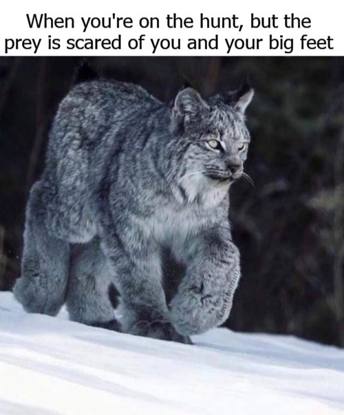 High Quality On The Hunt Blank Meme Template