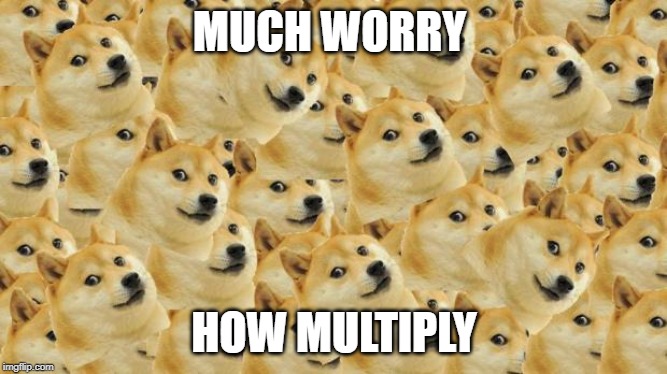 Multi Doge | MUCH WORRY; HOW MULTIPLY | image tagged in memes,multi doge | made w/ Imgflip meme maker