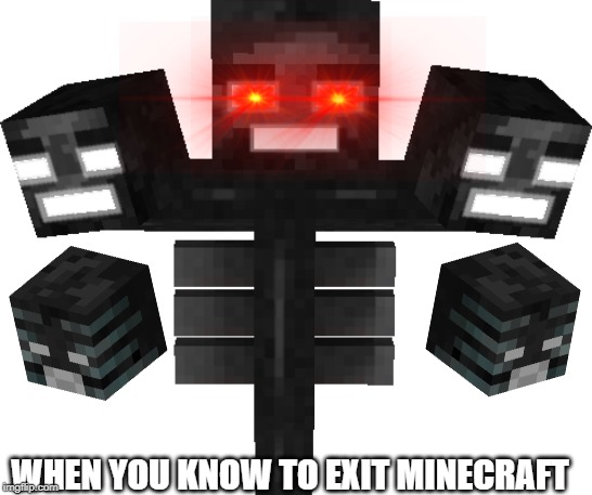 WHEN YOU KNOW TO EXIT MINECRAFT | image tagged in minecraft | made w/ Imgflip meme maker