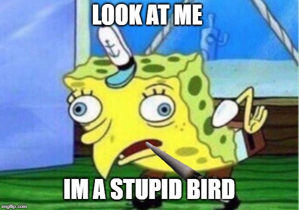 Mocking Spongebob Meme | LOOK AT ME; IM A STUPID BIRD | image tagged in memes,mocking spongebob | made w/ Imgflip meme maker