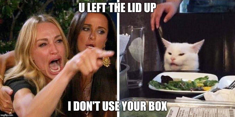 Smudge the cat | U LEFT THE LID UP; I DON'T USE YOUR BOX | image tagged in smudge the cat | made w/ Imgflip meme maker