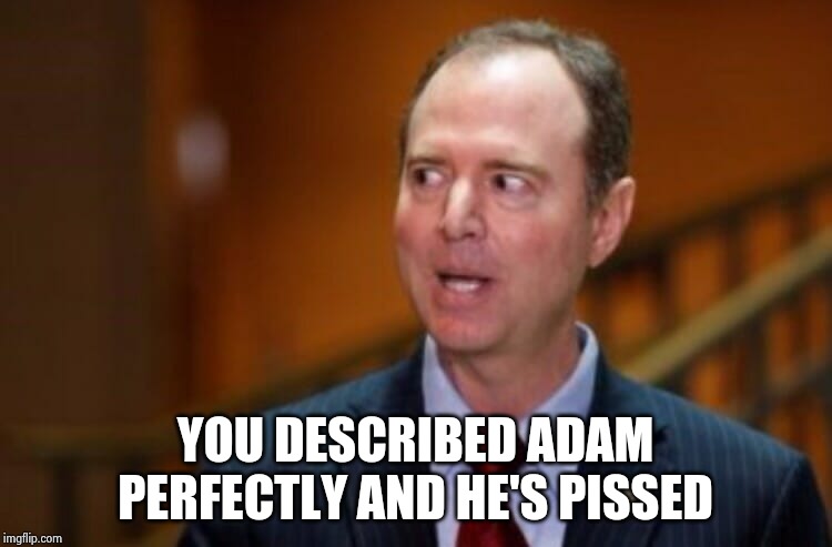 Adam Schiff | YOU DESCRIBED ADAM PERFECTLY AND HE'S PISSED | image tagged in adam schiff | made w/ Imgflip meme maker