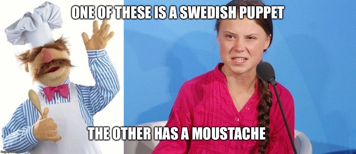 ONE OF THESE IS A SWEDISH PUPPET; THE OTHER HAS A MOUSTACHE | image tagged in greta thunberg | made w/ Imgflip meme maker