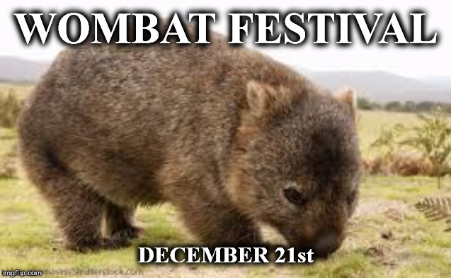 wombat |  WOMBAT FESTIVAL; DECEMBER 21st | image tagged in wombat | made w/ Imgflip meme maker