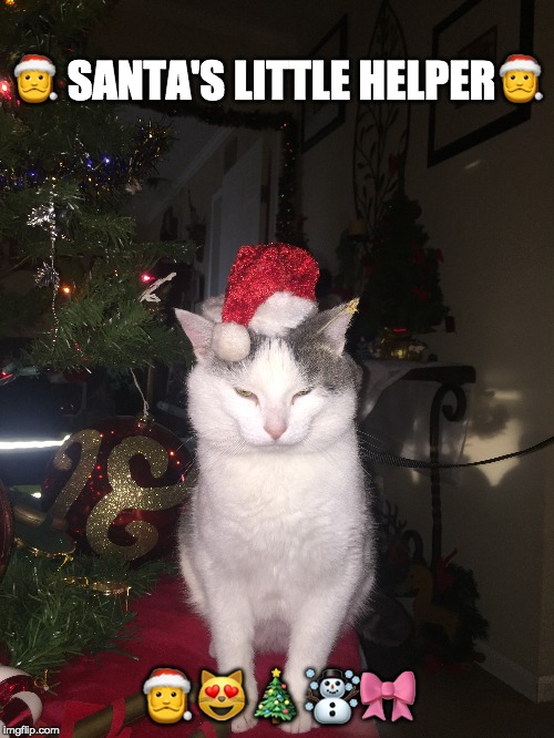 Santa's Little Helper Blank Meme Template