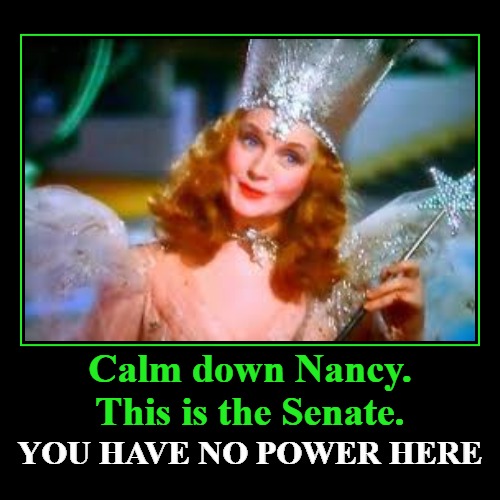 Calm down Nancy. This is the Senate. | Calm down Nancy. This is the Senate. | YOU HAVE NO POWER HERE | image tagged in funny,demotivationals,nancy pelosi is crazy,nancy pelosi wtf,trump impeachment,fake impeachment | made w/ Imgflip demotivational maker