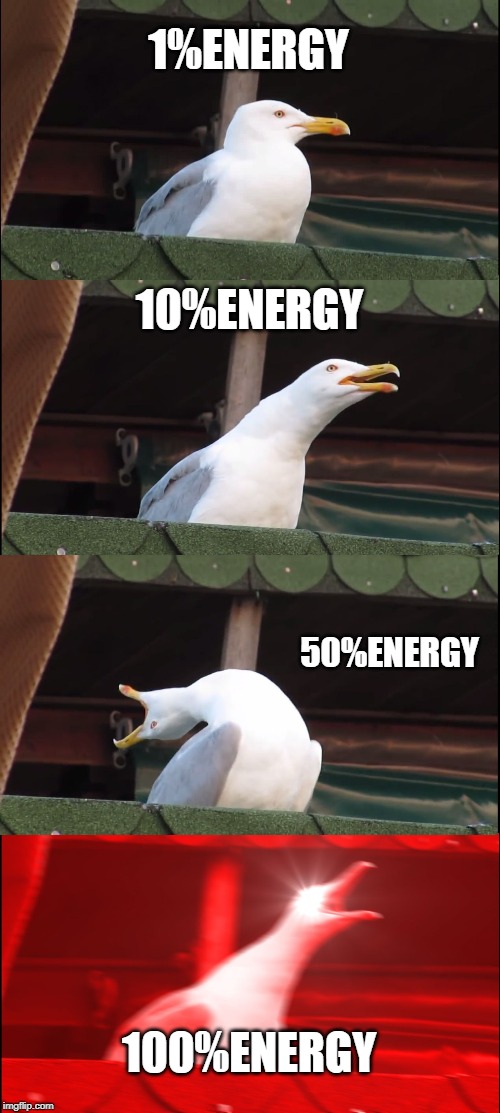 Inhaling Seagull Meme | 1%ENERGY; 10%ENERGY; 50%ENERGY; 100%ENERGY | image tagged in memes,inhaling seagull | made w/ Imgflip meme maker