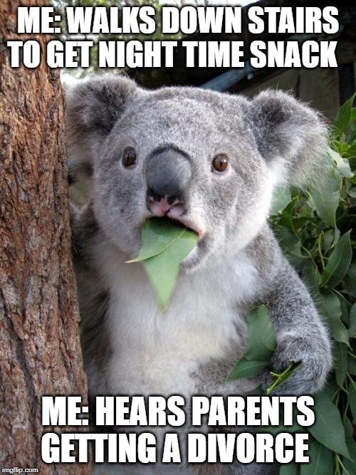 Surprised Koala Meme | ME: WALKS DOWN STAIRS TO GET NIGHT TIME SNACK; ME: HEARS PARENTS GETTING A DIVORCE | image tagged in memes,surprised koala | made w/ Imgflip meme maker