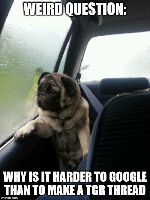 Introspective Pug | WEIRD QUESTION:; WHY IS IT HARDER TO GOOGLE THAN TO MAKE A TGR THREAD | image tagged in introspective pug | made w/ Imgflip meme maker