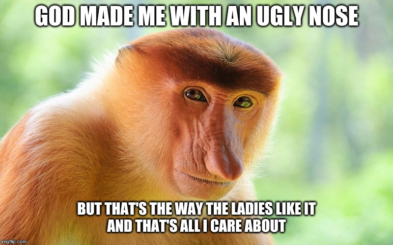nosacz monkey | GOD MADE ME WITH AN UGLY NOSE; BUT THAT'S THE WAY THE LADIES LIKE IT

AND THAT'S ALL I CARE ABOUT | image tagged in nosacz monkey | made w/ Imgflip meme maker