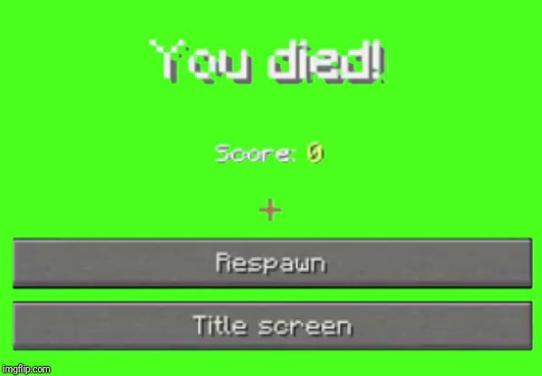 you died! | image tagged in you died | made w/ Imgflip meme maker