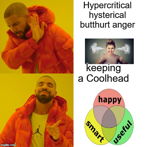 Drake Hotline Bling | Hypercritical hysterical butthurt anger; keeping a Coolhead | image tagged in memes,drake hotline bling | made w/ Imgflip meme maker